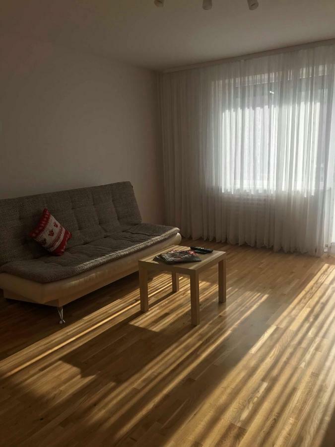Welcoming Apartment Anykščiai Esterno foto